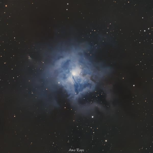 NGC 7023 Iris Nebula