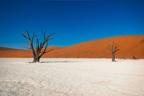 Deadvlei, Namibia