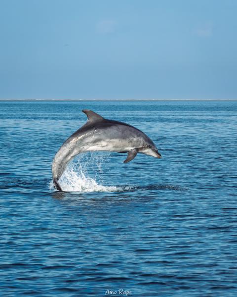 Walvisbaai, Namibia