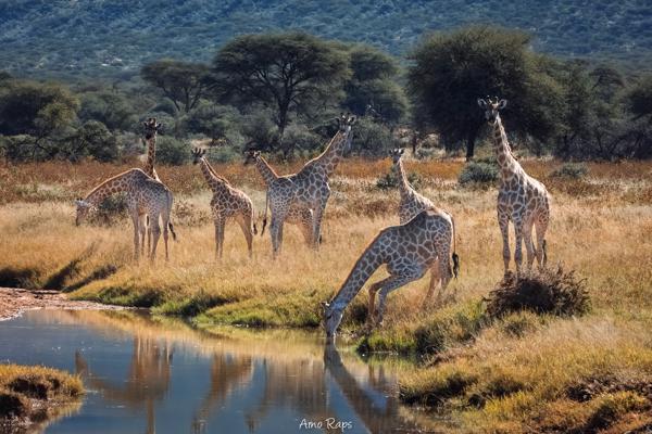 Mount Etjo, Namibia