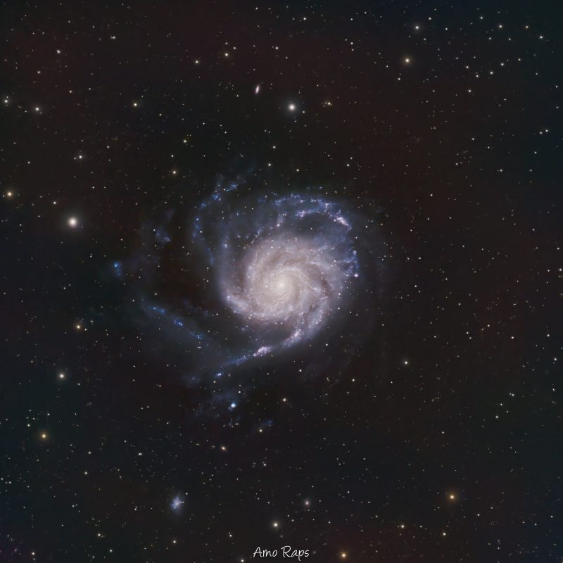 M101